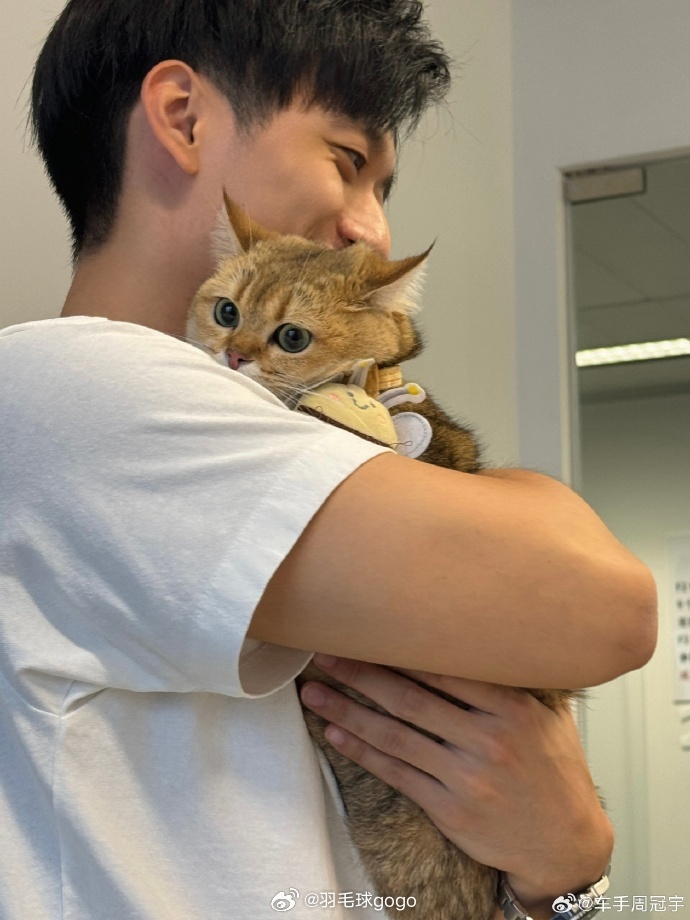 周冠宇完全猫奴来的F1中国大奖赛 赛道上猛如虎的车手，一碰到猫就成温柔到不行的大