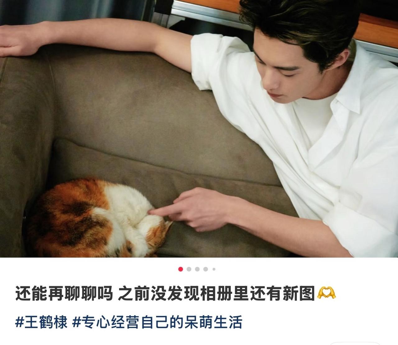 tag是王鹤棣专心经营自己的呆萌生活😂 ​​​