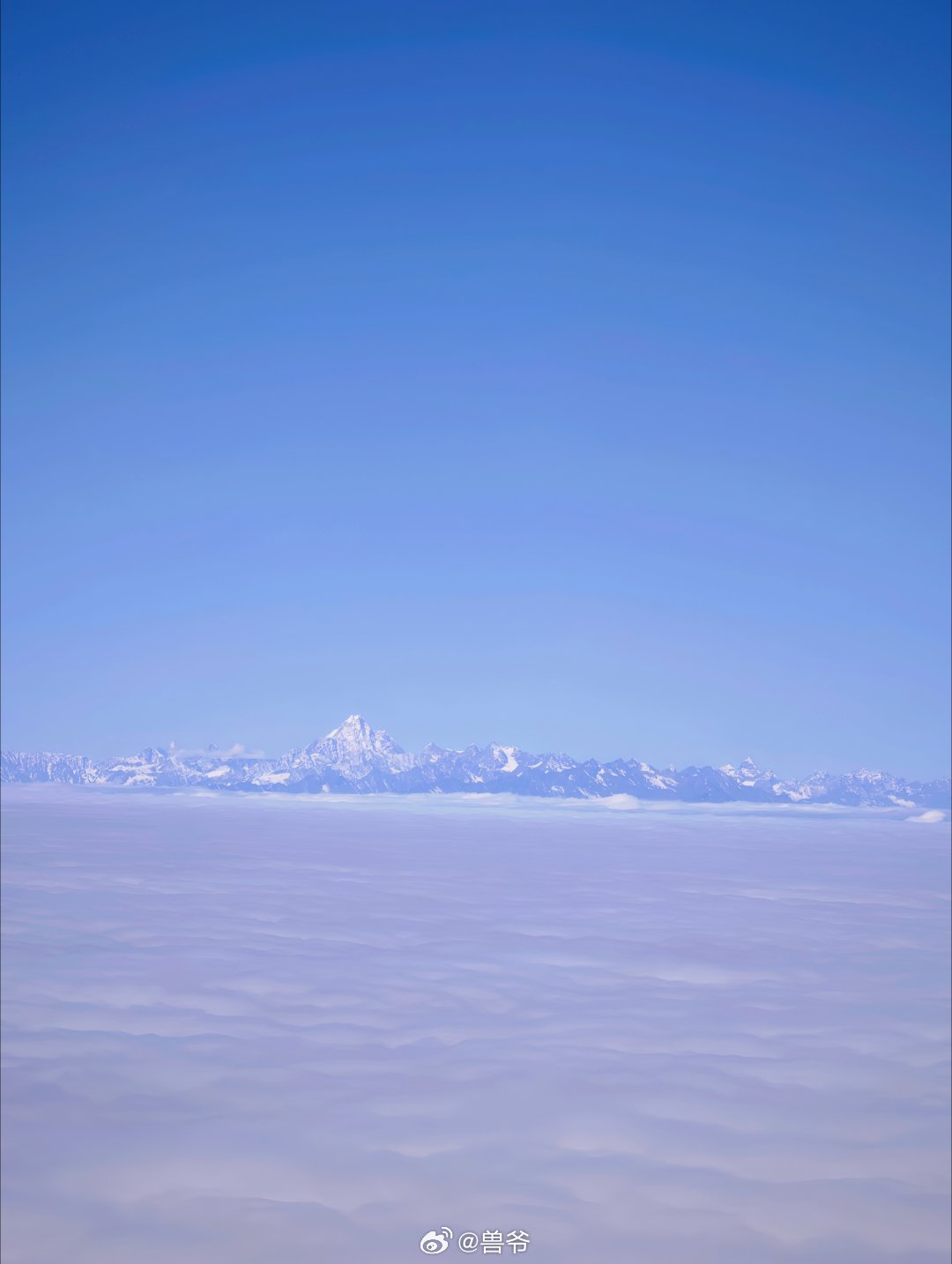 分享图片 ​​​