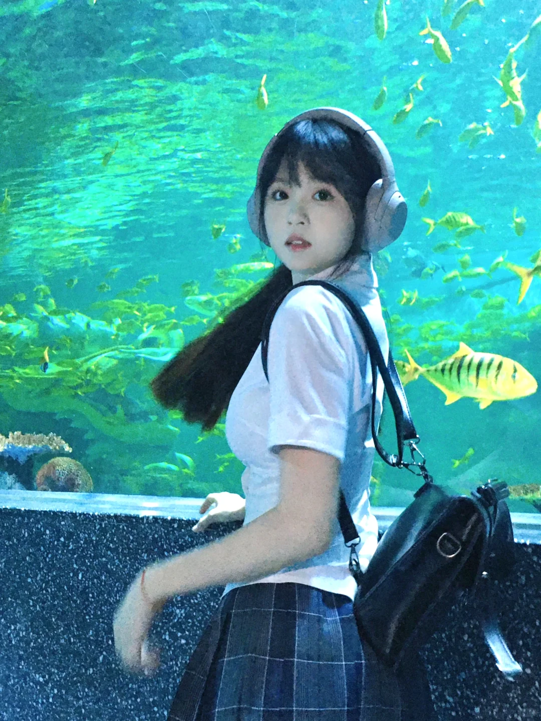 沉入海底世界 𓆉𓆡𓅯𓆝