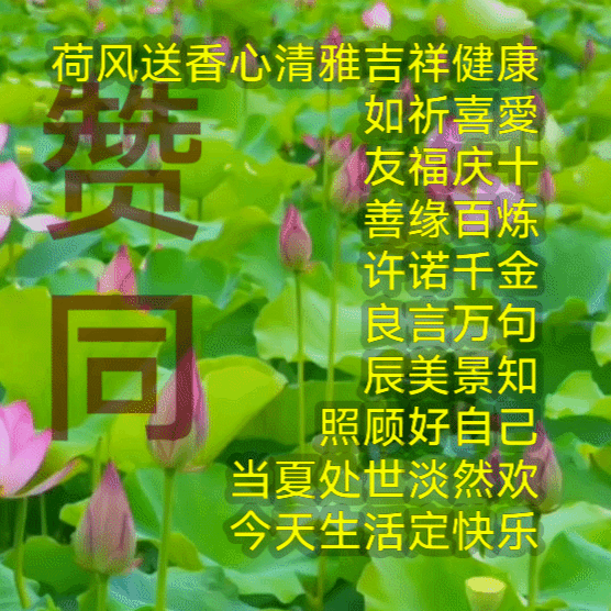 文字接龍：龍馬精神喜庆百千万景