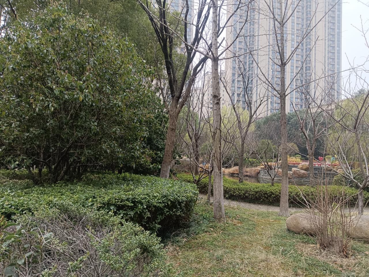 天南地北大拜年宁静的小区，缺少了人间烟火气。