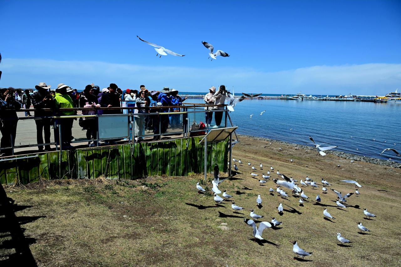 五一小长假，青海湖景区迎来客流高峰，游人接踵而至。在这片湛蓝的画卷中，年轻身影成