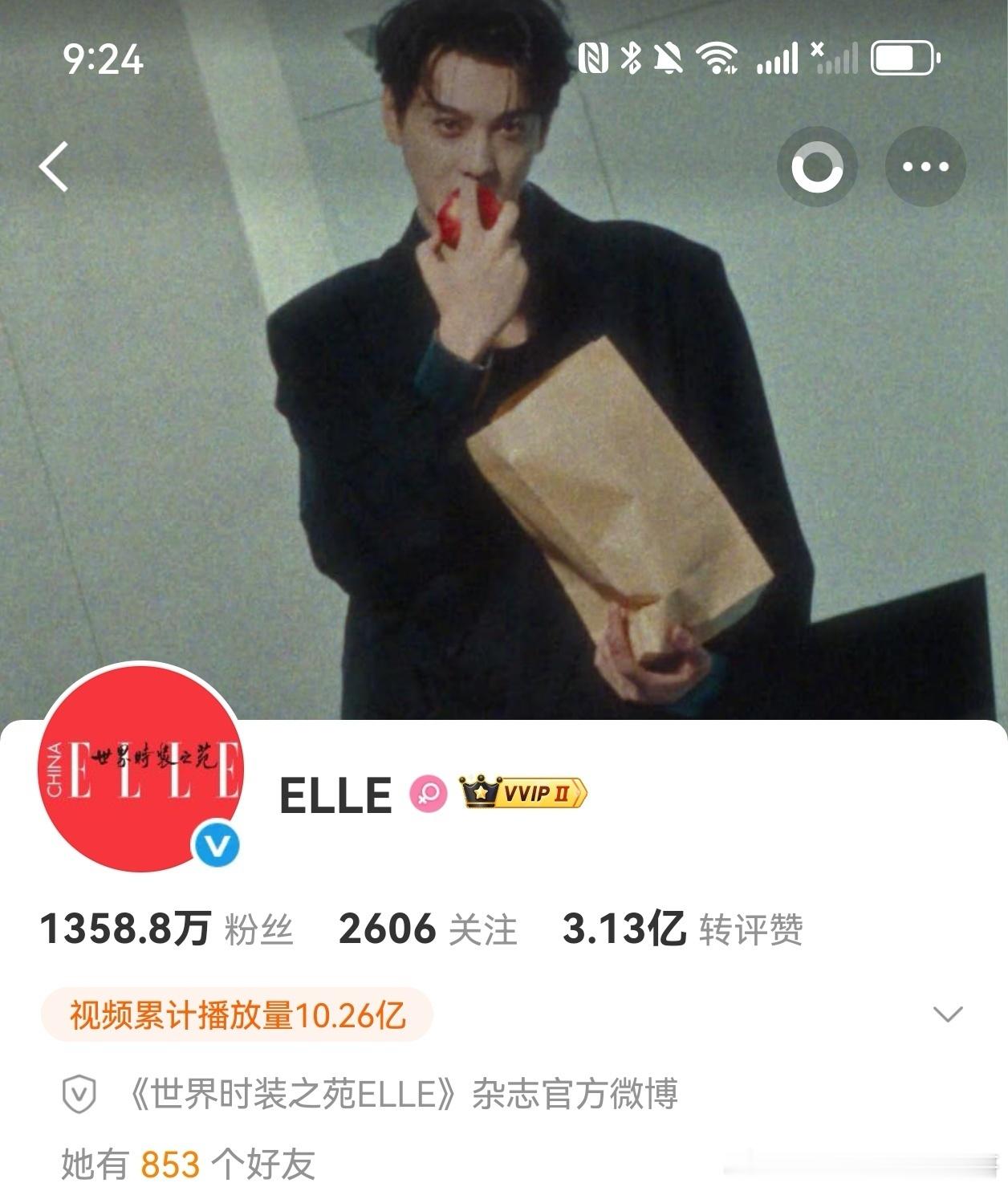 这个ELLE好的坏的？ 