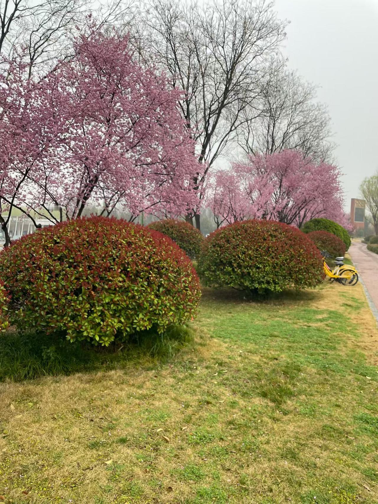 所有的委婉，本质都是因为双方地位不平等。一旦真正平等，沟通就会直白坦荡。
一所学