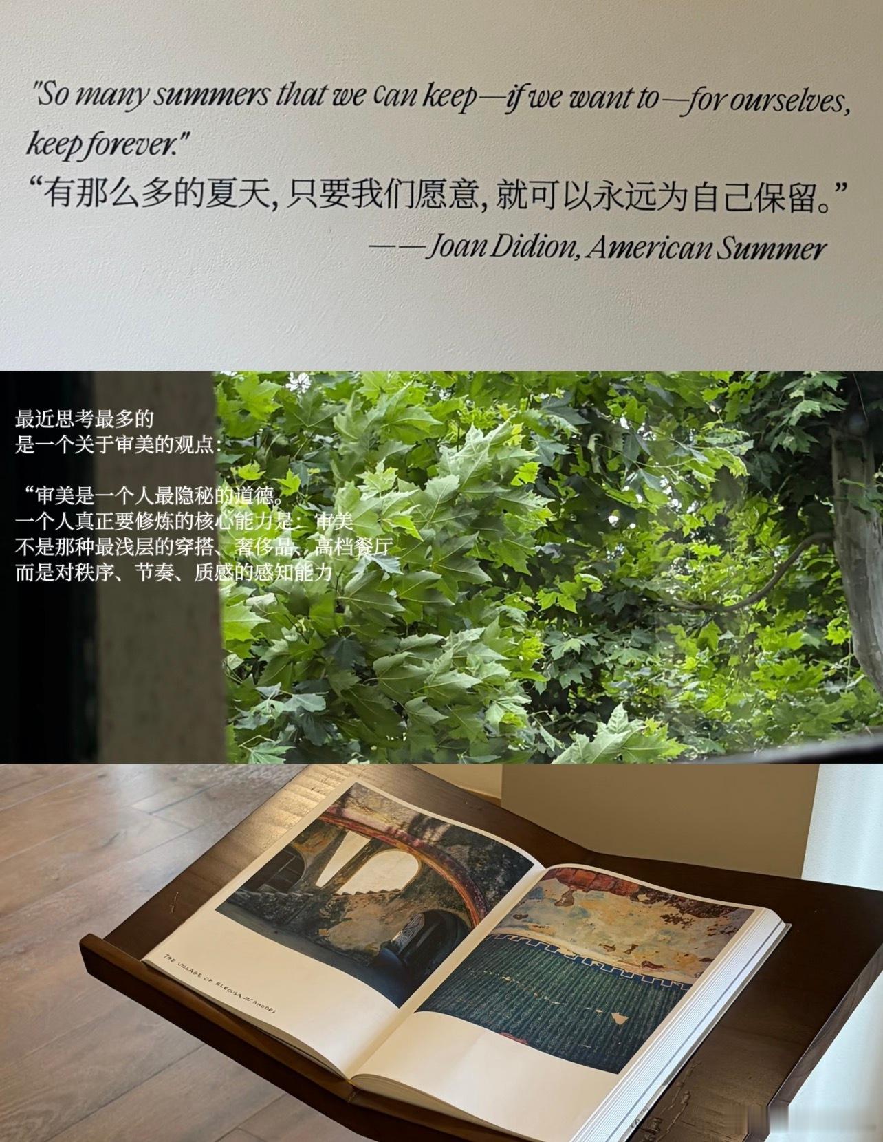 第一次对审美强的人有了实感审美强的人往往感知细腻，能捕捉细碎美感，且审美自洽，不
