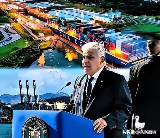 澳大利亚、秘鲁、立陶宛、荷兰、菲律宾、柬埔寨、尼日尔、巴拿马等国近期接连有动作，