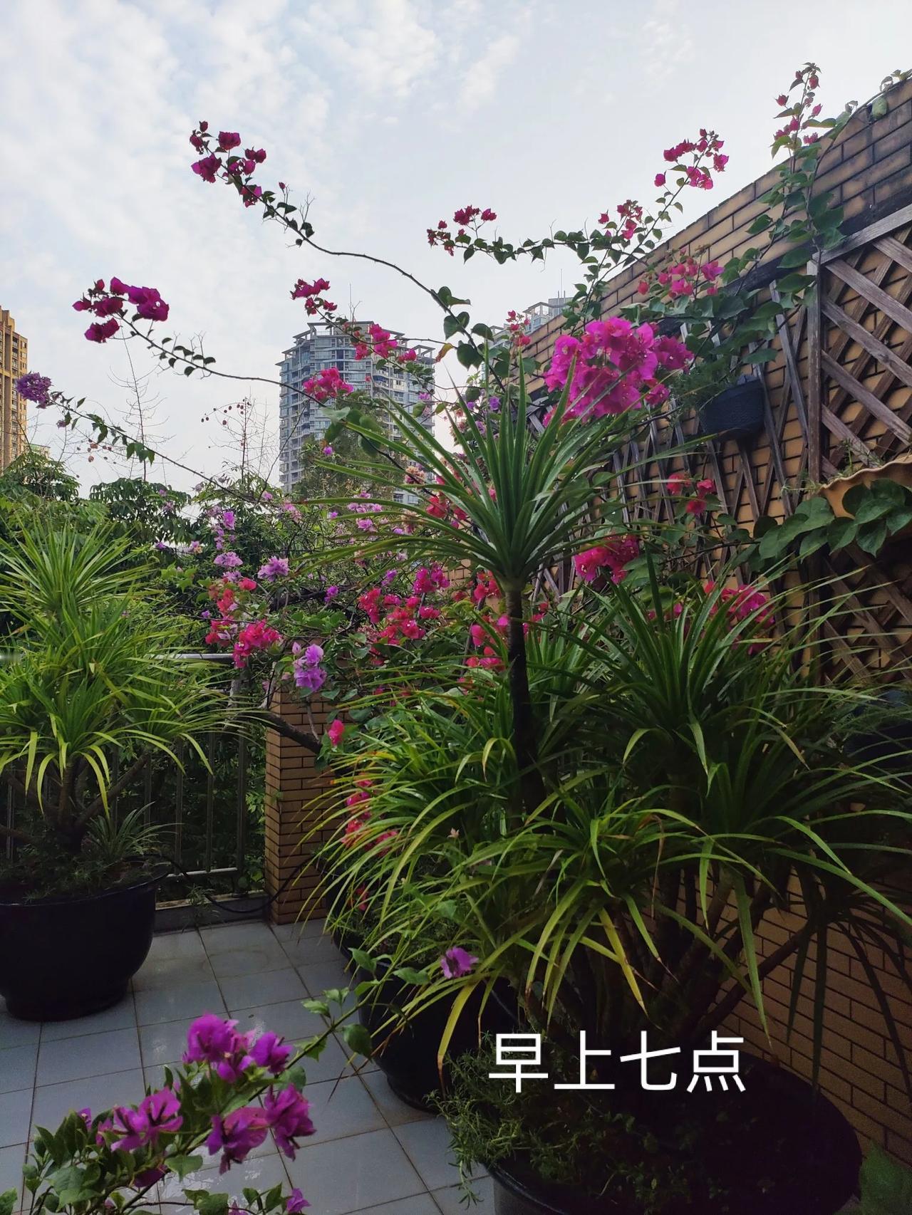 回家第二天，天气还是很热，早上起床就坐车去看望老妈[微笑]