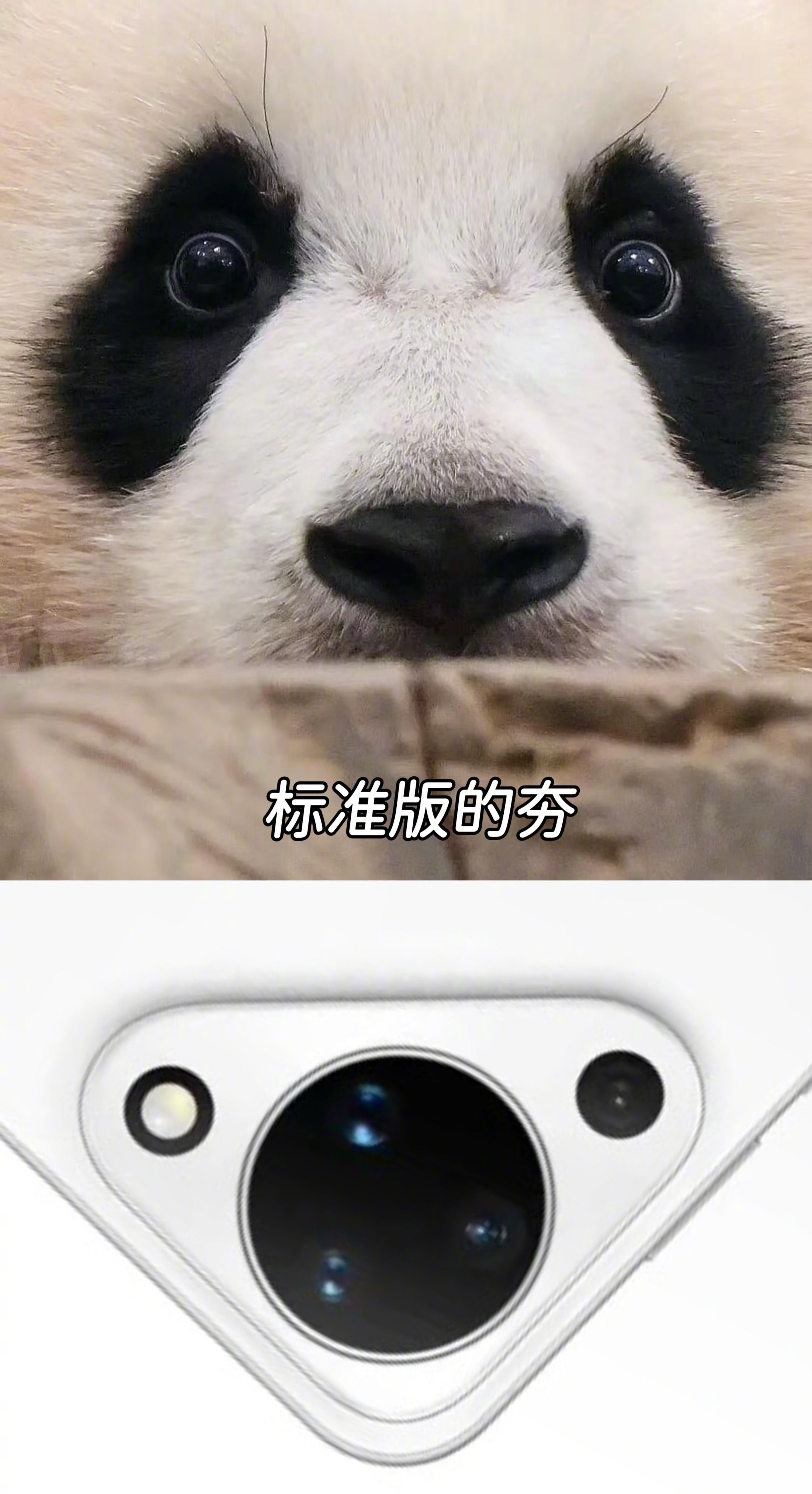 华为Pura90标准版今日开售 华为Pura 90标准版上线，连大熊猫、小熊猫都