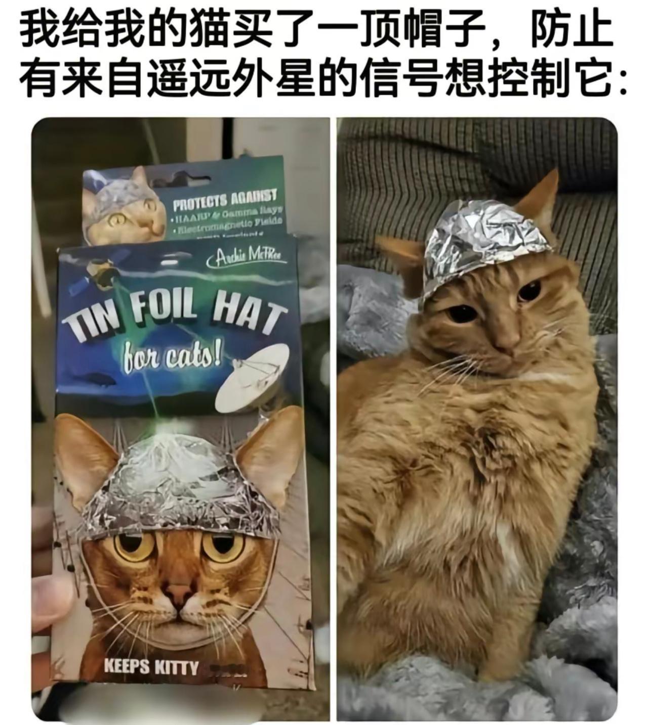 防患于未然#今日memes# //#龙年造梗大赛# ​​​