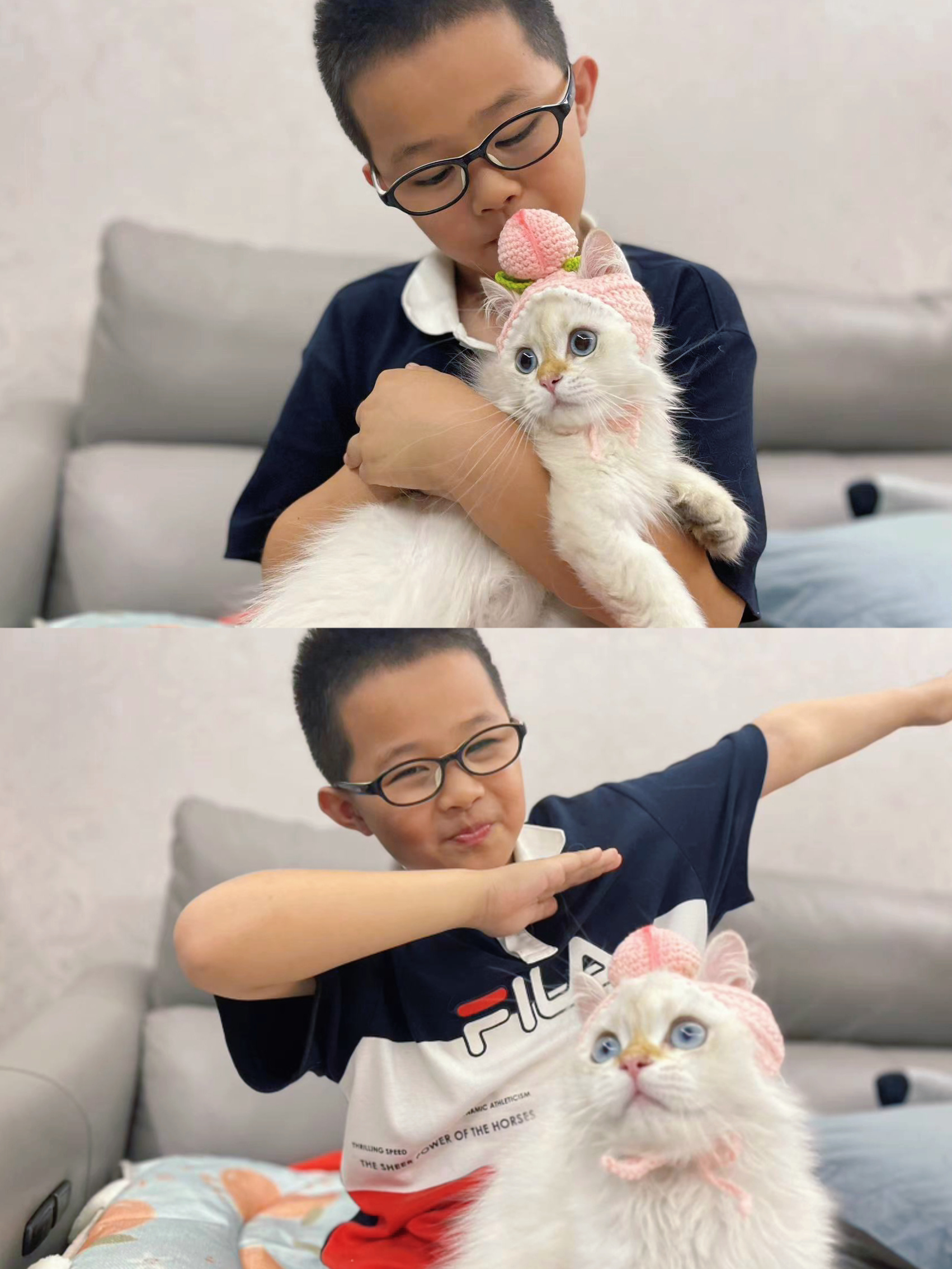 看看孩子们在新家好快乐#金点色##英国长毛猫##金渐层[超话]##金点# ​​​