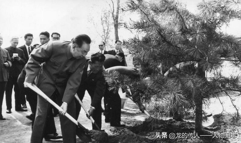 1978年5月6日下午，华国锋到宅庵朝中友谊合作农场访问时，在农场场院里裁种了两