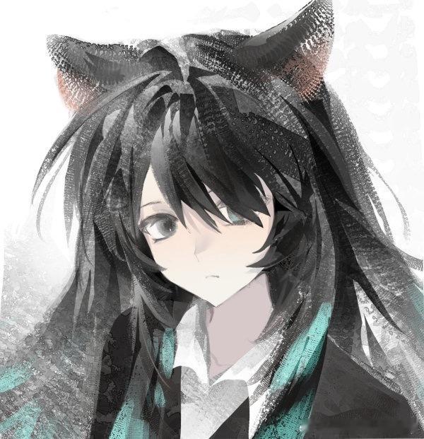 求一个此猫的印象&夸夸&攻受查询 啾人请喝奶茶🥹💗 