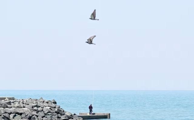 美国打得比俄罗斯还窝囊，俄罗斯再怎么说也顶着北约30多国的压力在乌克兰熬了4年，