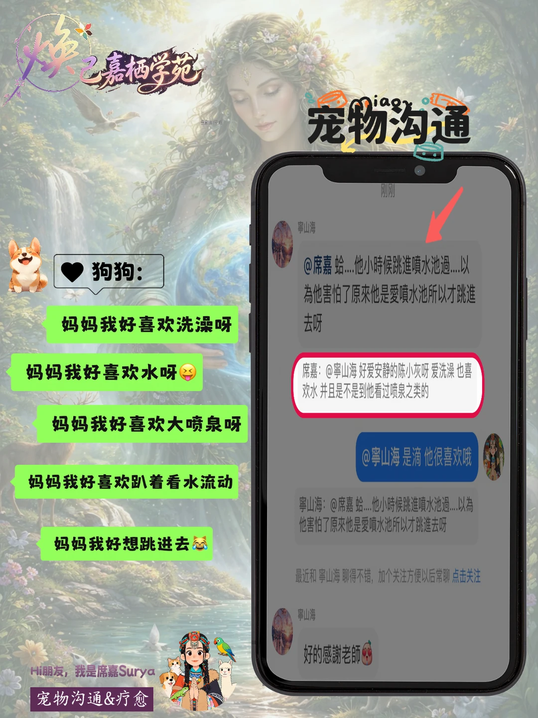宠物沟通｜狗狗想做什么想吃什么都知道