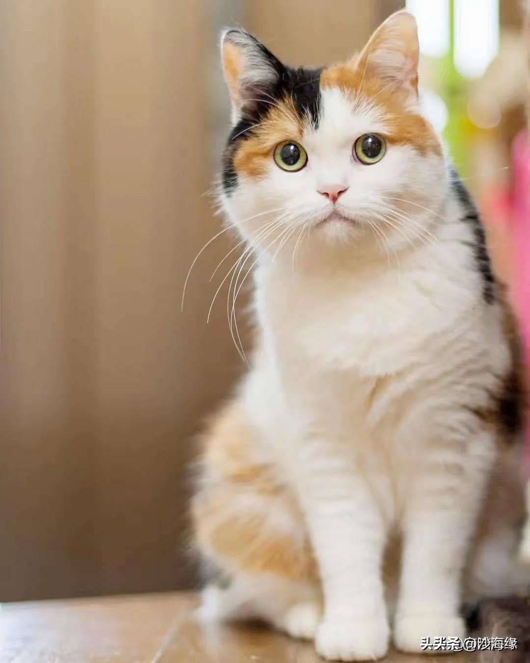 那年夏天，
上海8月天气炎热到爆，
我失业了，
经过一番寻找我来到一家公司应聘，