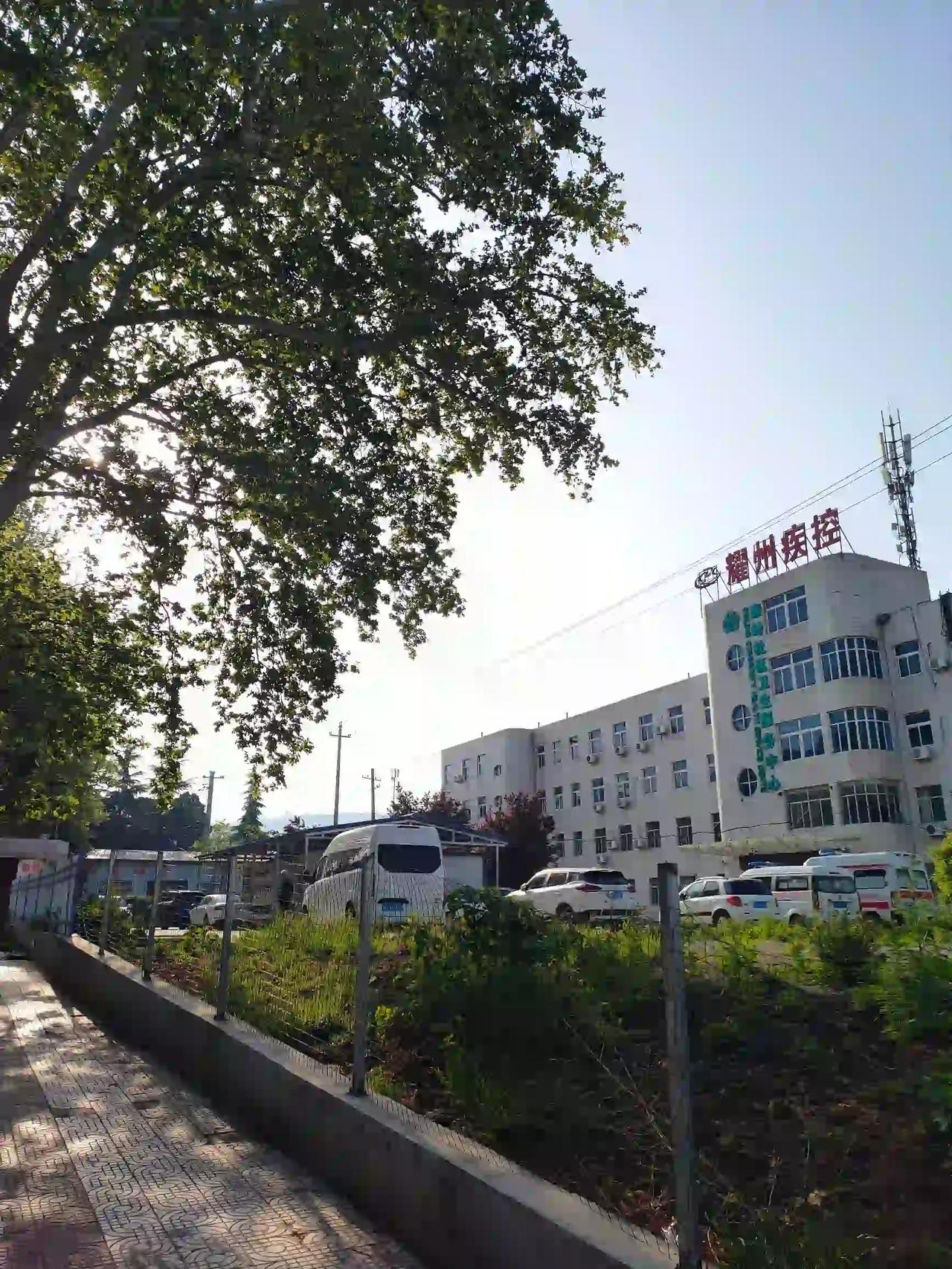 春阳暖透衣，风里带着花香。不用去追什么盛景，就是路边这一丛红、那一株绿，看在眼里