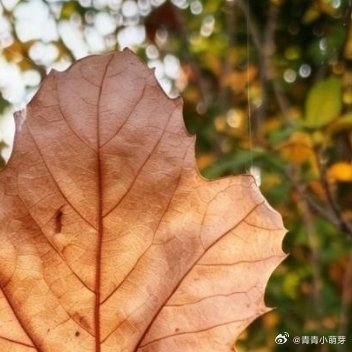 少些计较，日子自会顺遂。碰到烂人烂事及时抽身，不必争输赢。精力留给值得的人与事，