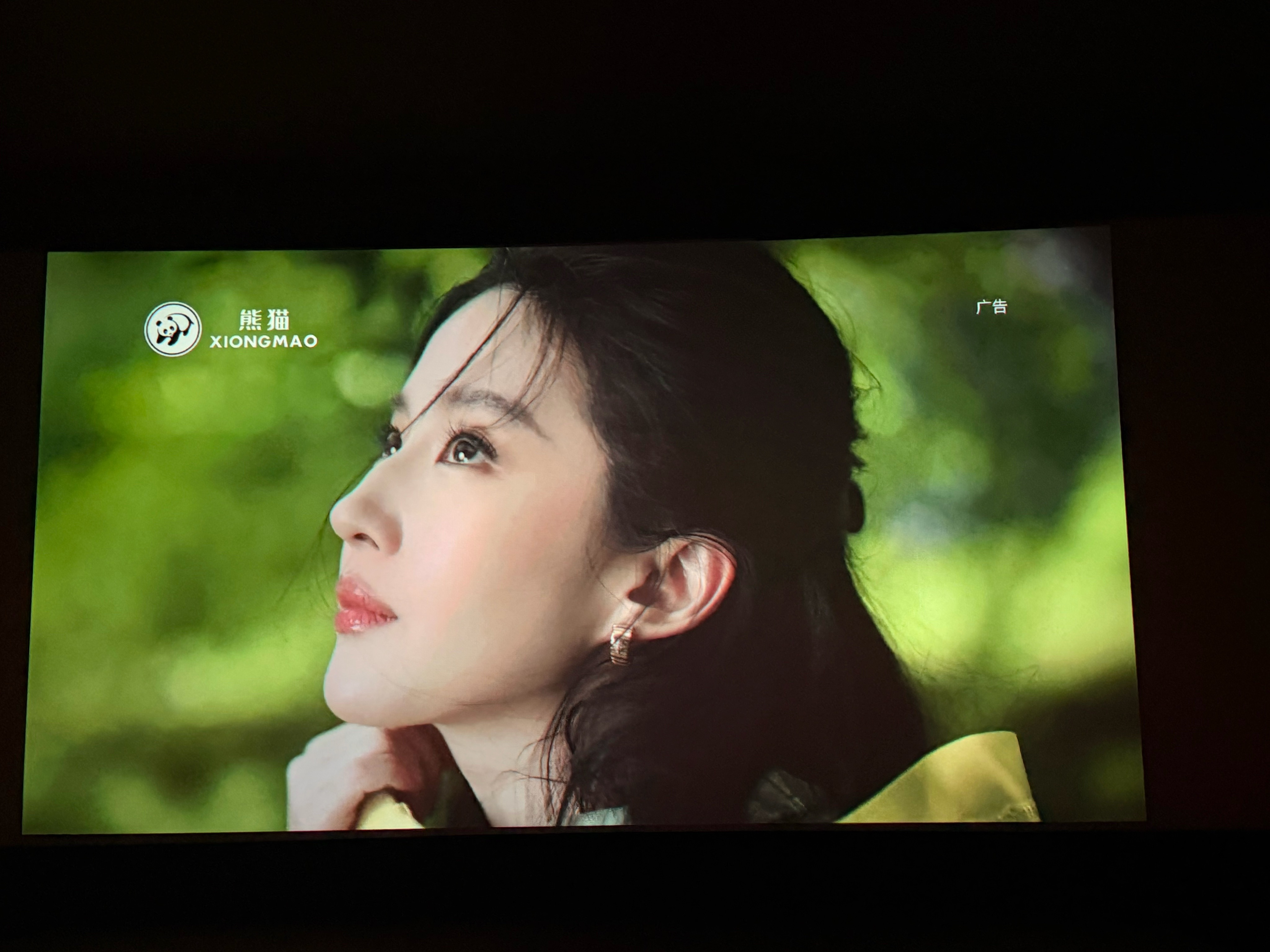 来看玩具总动员还遇到🐼广告，好美啊😍 