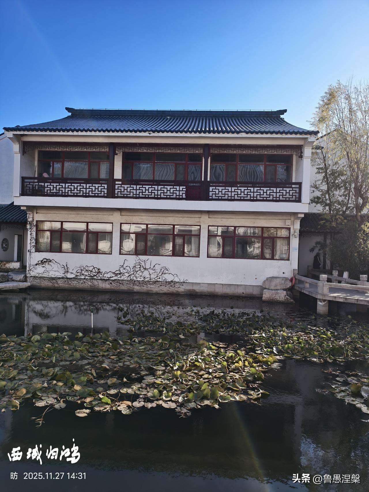 东营市东园，是园林局所在地，也是一处有江南风格的园林，虽不大，但也雅致。