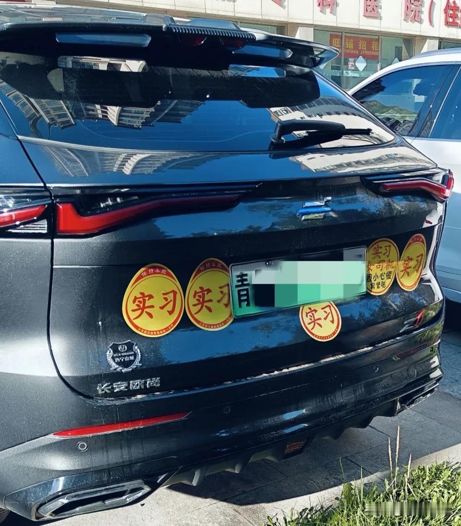 想问下路上如果遇到这个车，你会怎么办？是超车还是在后面跟着？