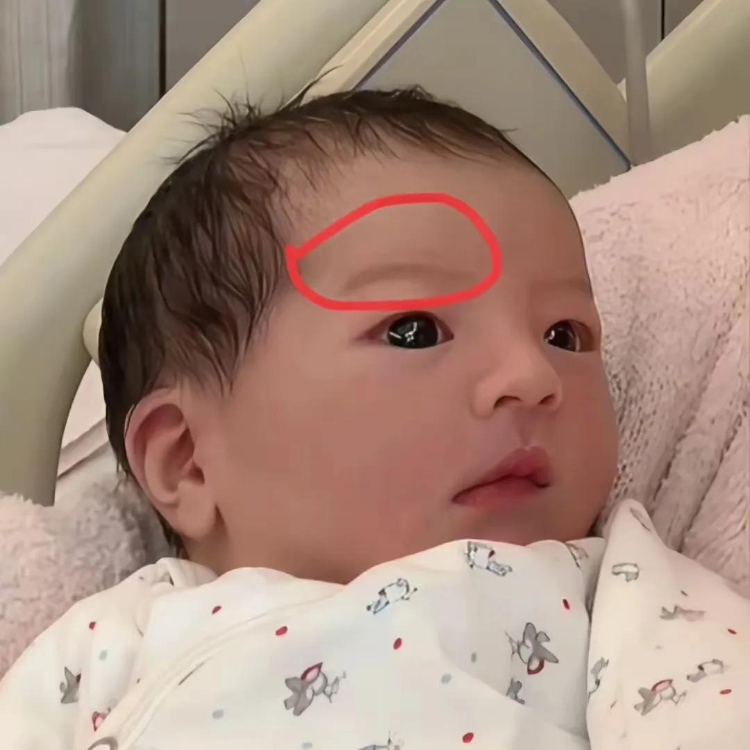 这小家伙是郭富城的三公主
她的身份，我没有羡慕，她的眼睛我也不羡慕，但是看到三公