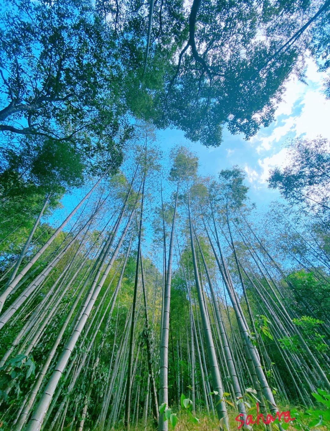 广州从化三桠塘幽谷｜2天1夜避暑攻略，藏在广州的天然秘境

盛夏广东酷热难耐，想