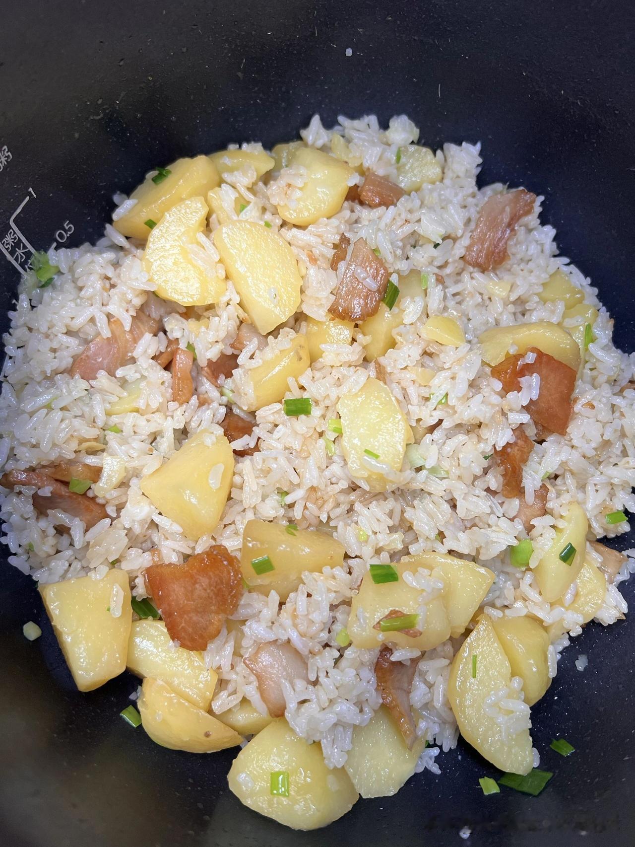 春日生活打卡季