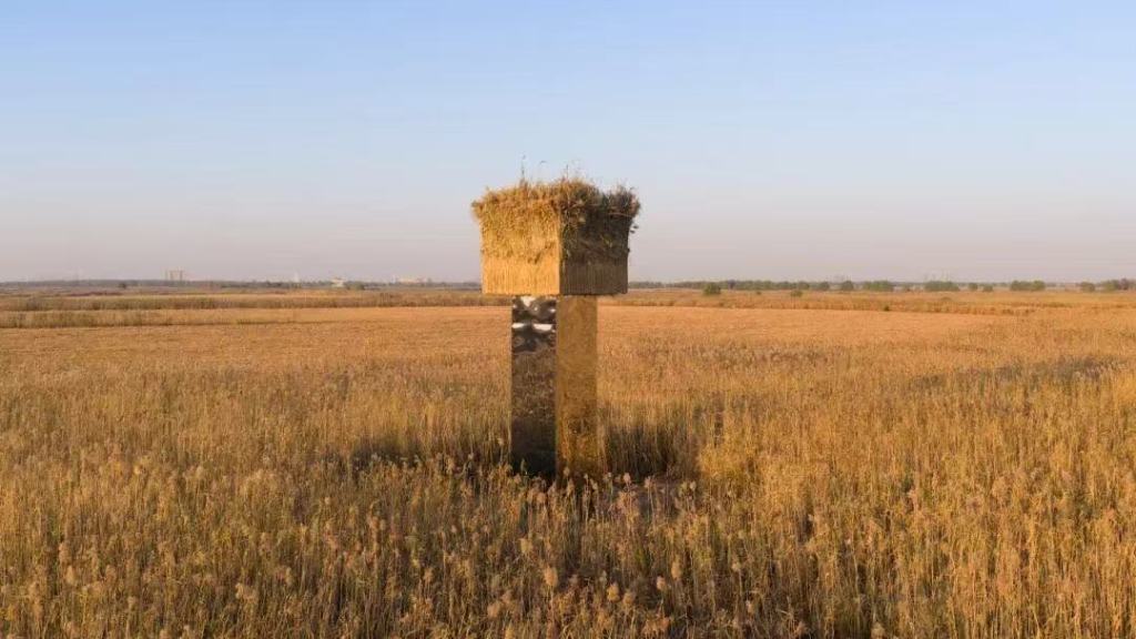 洞庭湖一座立体镜面装置被指易引发鸟撞：已拆除完毕，未发现鸟类伤亡