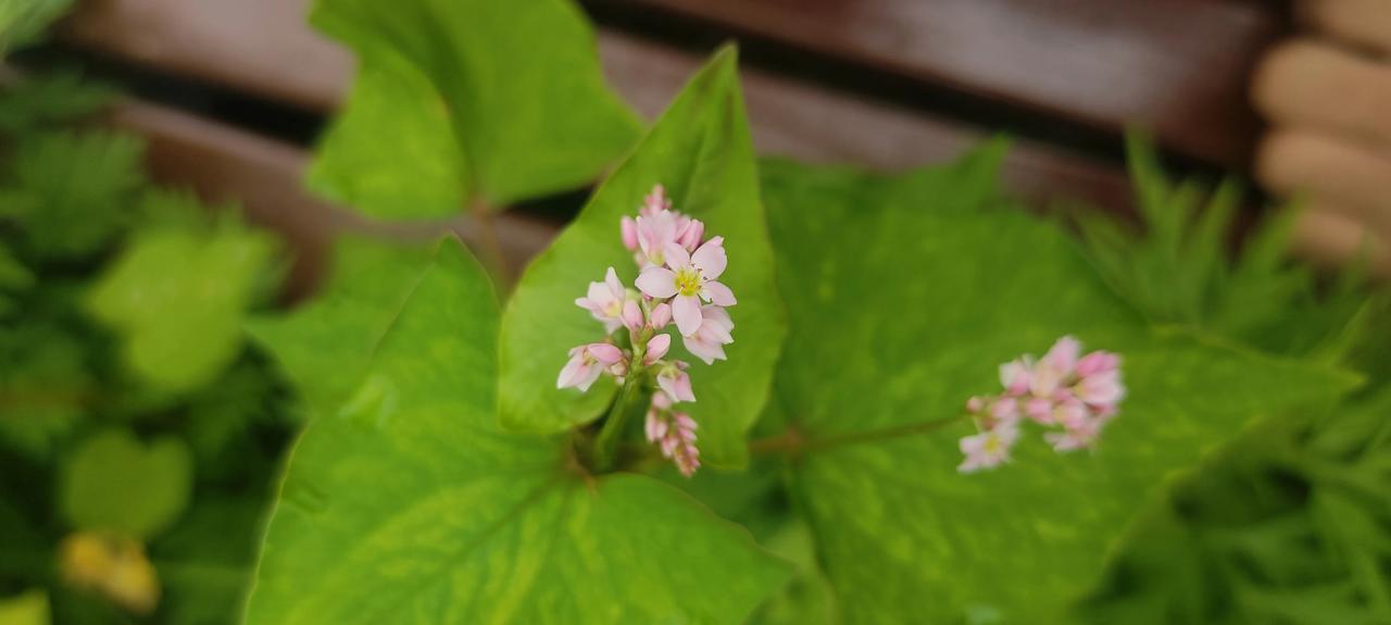 对于信仰，现在很多人都很陌生，那到底什么是信仰呢，在和一些上班的人聊天讨论，他们