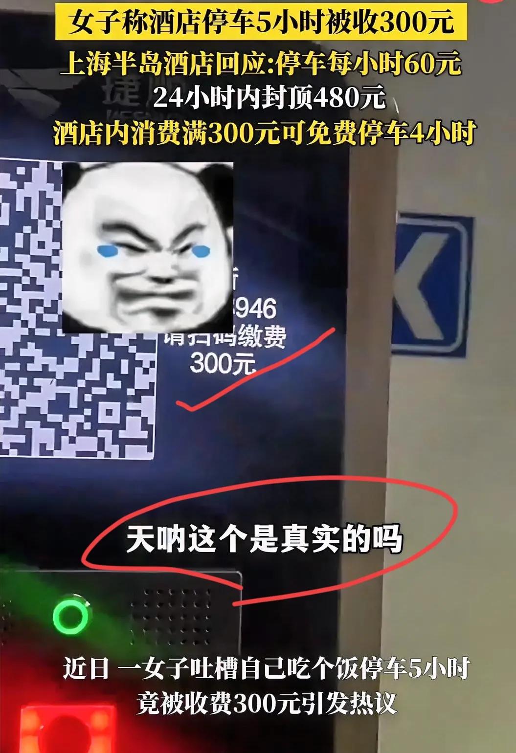 这下彻底出名了
不仅上海，全国人民都知道了！
一女子在上海半岛酒店吃个饭，车停地