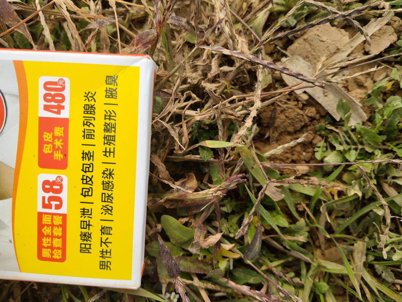 我在街上走，一个阿姨给了我一东西，什么意思？
他怎么这样？