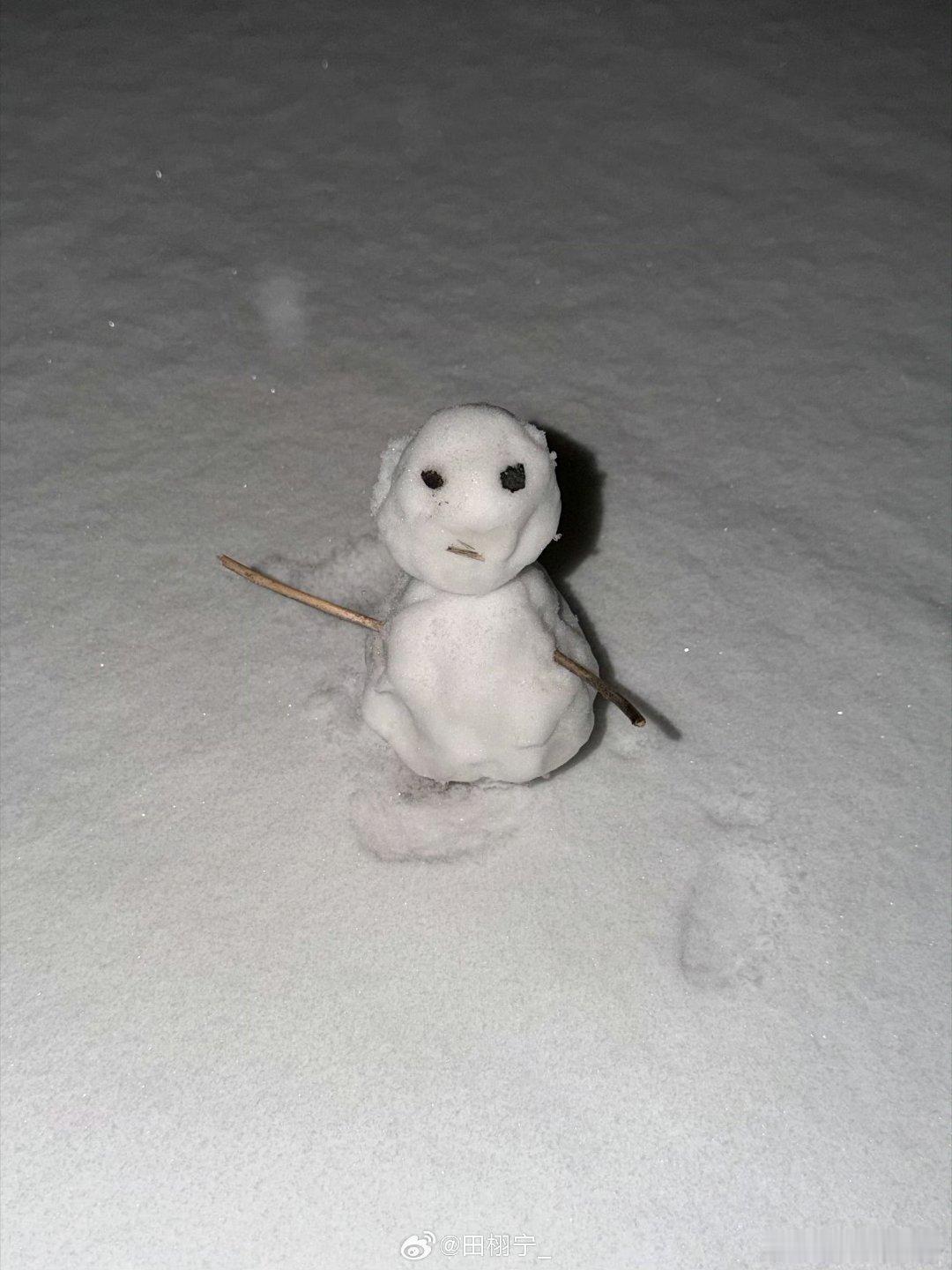 田栩宁晒工作室伙伴堆的雪人工作室堆的小雪人，丑萌丑萌的田栩宁晒工作室伙伴堆的雪人