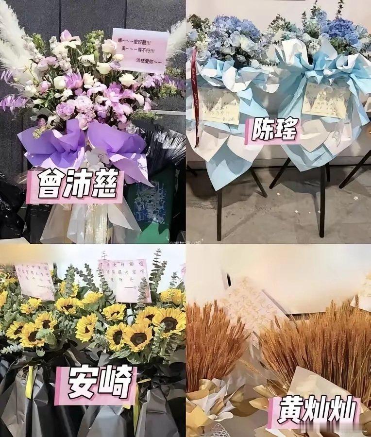 谢娜演唱会应援太好哭了😭唐艺昕那篮粉玫瑰直接戳中泪点！从《乘风破浪》到现在，豪