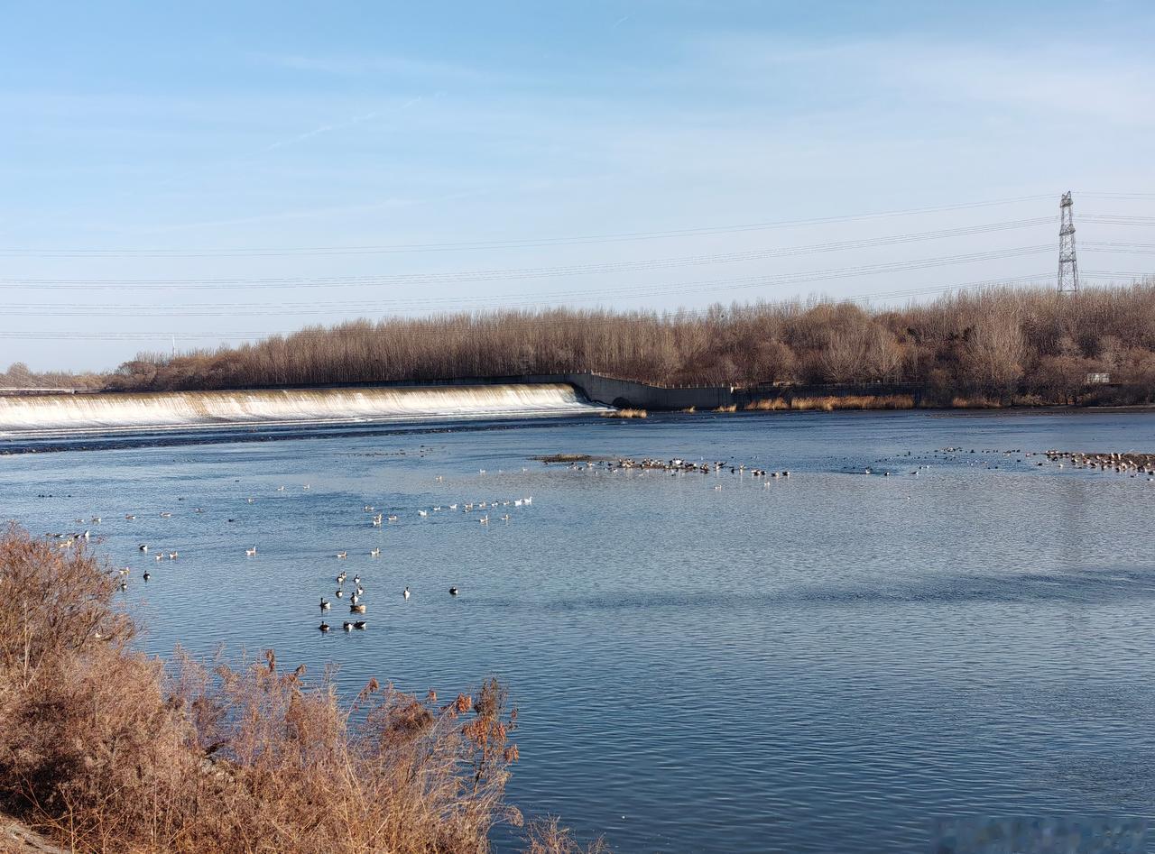 今天早上看到这个新闻特别的难过
这么好的年轻人不应该就这样离开
浑河几乎每年都有