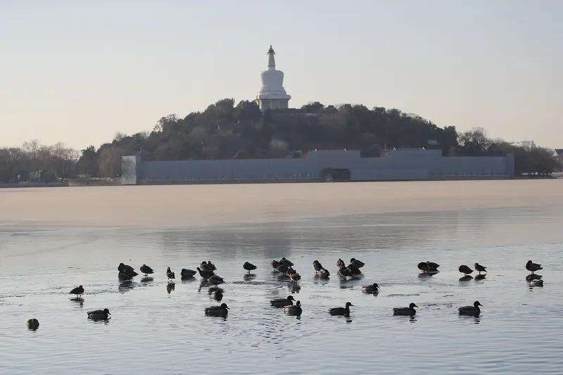 冬日暖阳
此时倒也温暖
元旦将至
此时离职了
不知该去往何处
大环境如此
实在让
