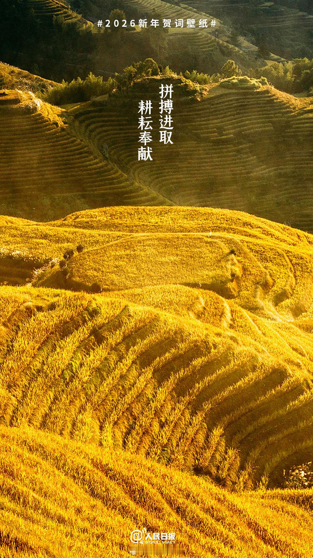 爆款视频文案｜中国五年成绩单来了！每一页都写满你的好日子✅

家人们！中国五年成