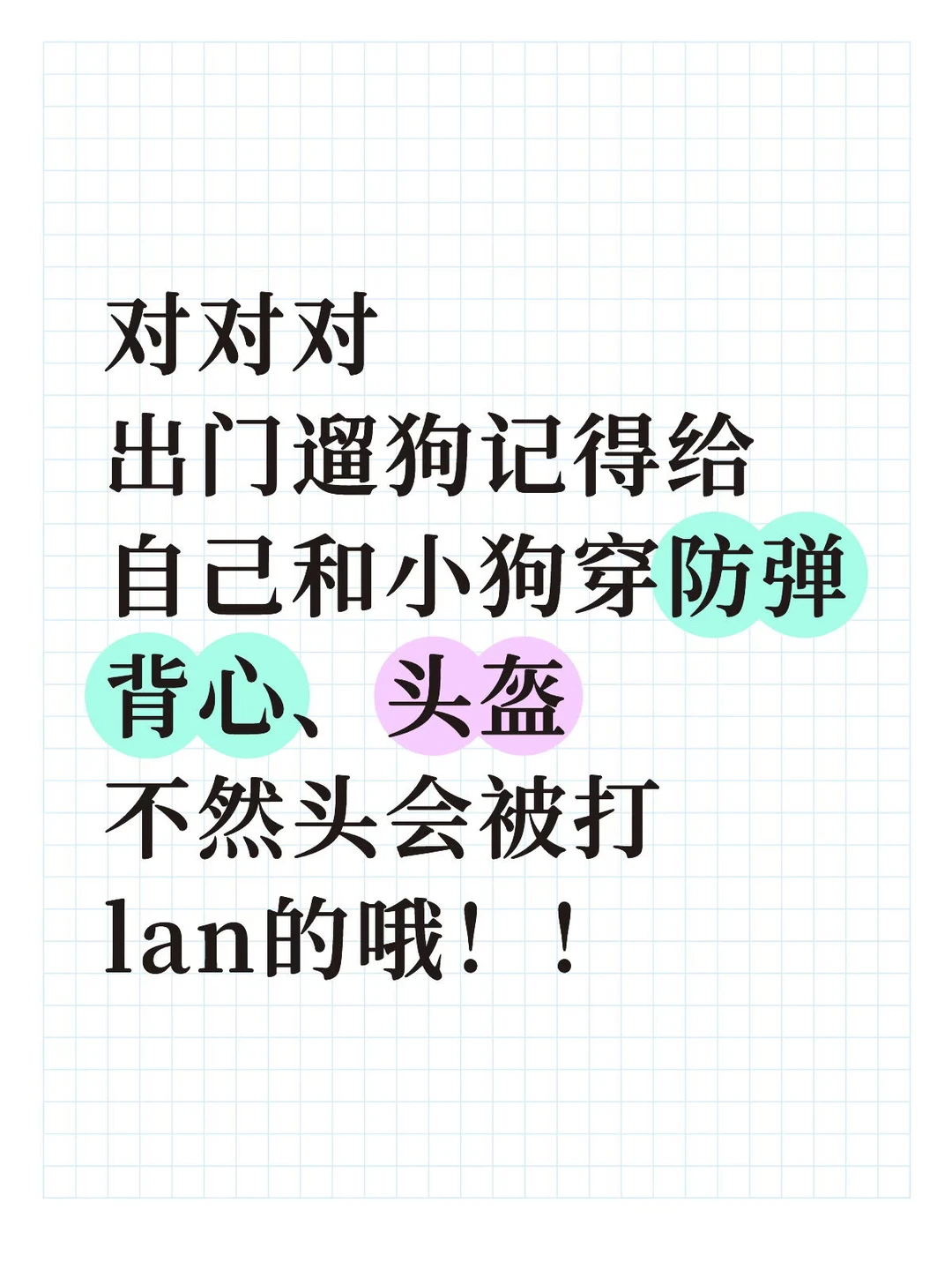 上海 贵阳 重庆女性遛狗被打