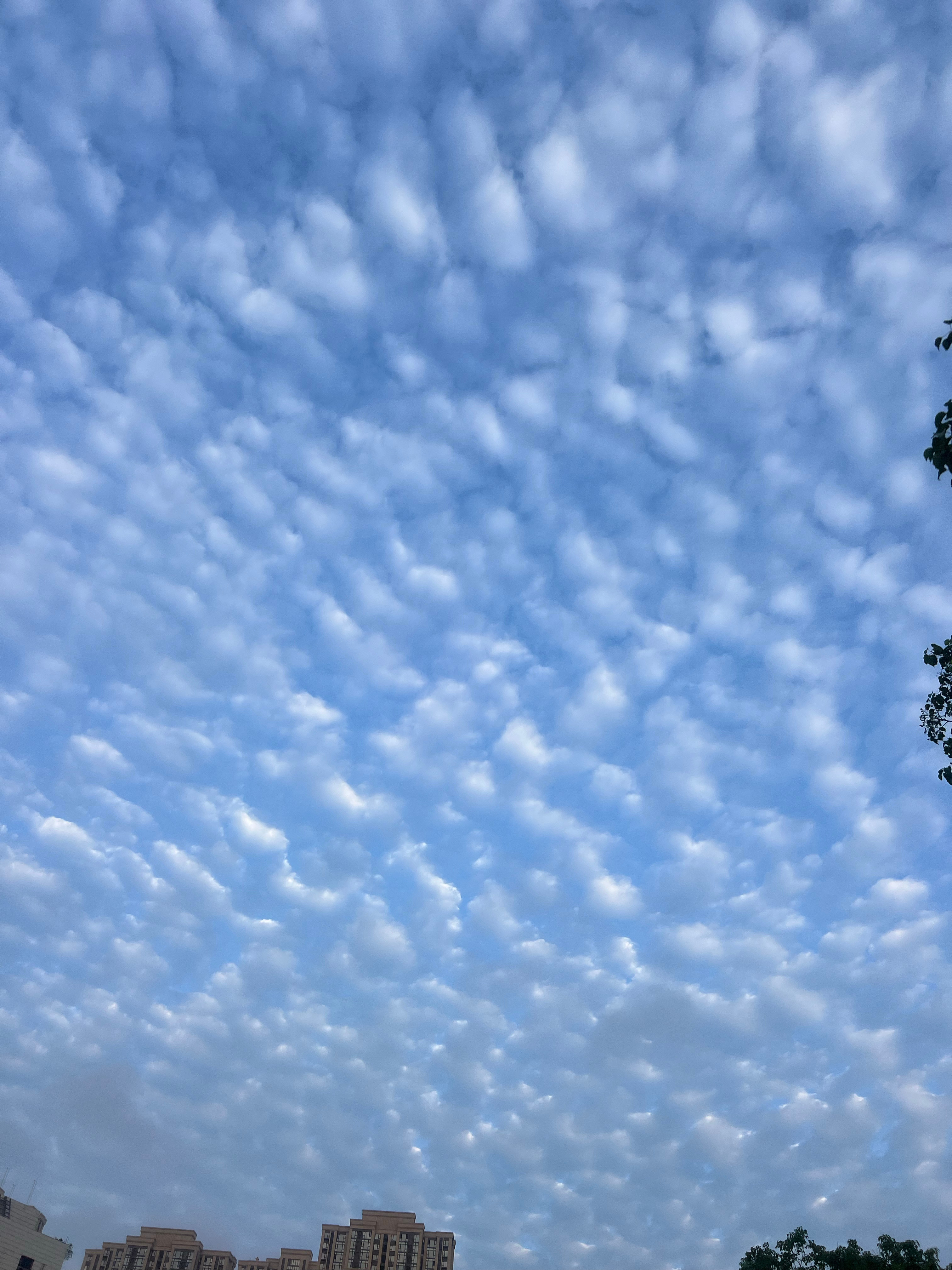 这是那个什么地震云吗？  ​​​