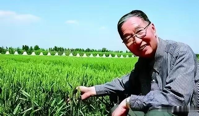 中国又出了一位“袁隆平”！他让粮食产量增长1000亿斤，喂饱5亿中国人，被称为中