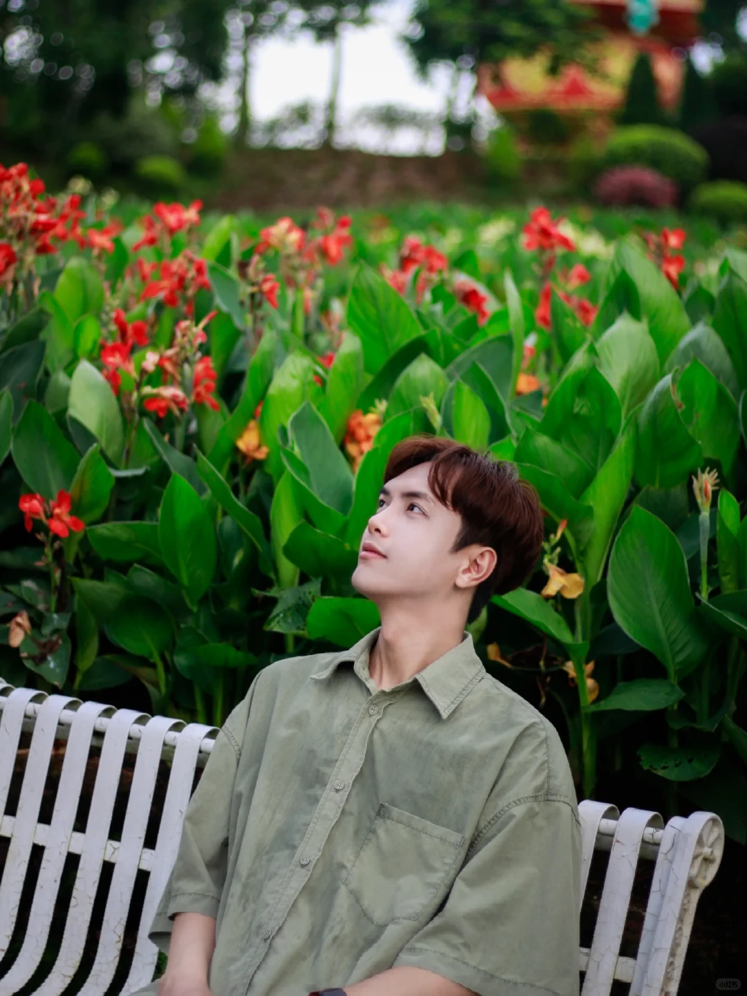 在南宁 绿到发光了🌿