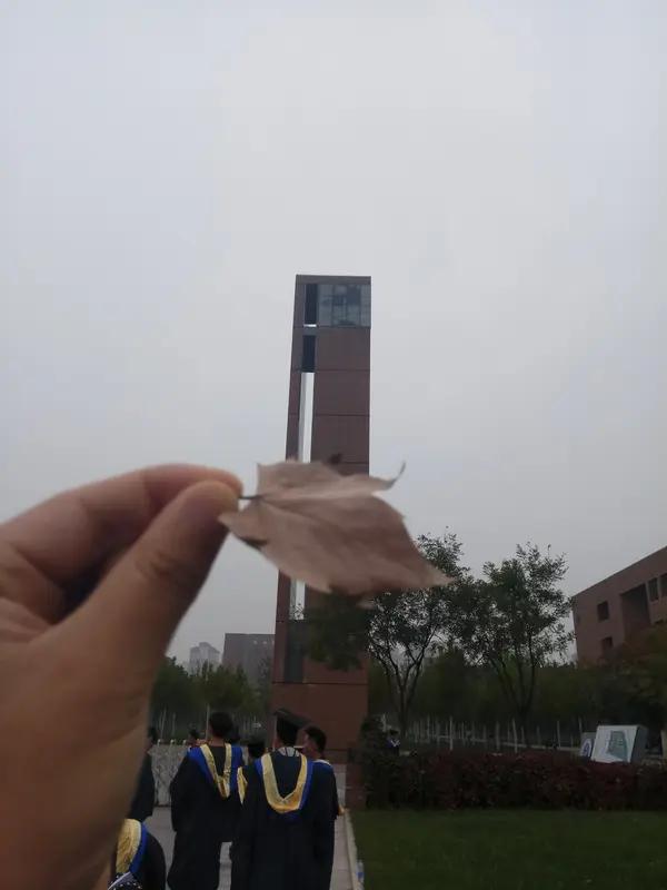 5月母亲节，一条新闻温暖了全网。22岁河南大四男生于金辉，账号“于鱼丘比特”有7