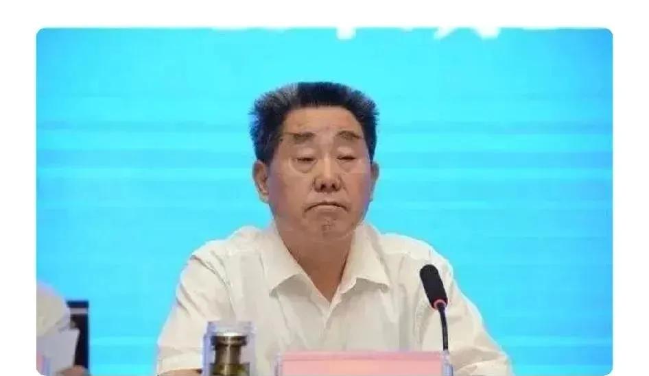 # 河南高官刘满仓被查引热议，河南大常委会内幕究竟如何？

近日，河南省大常委会