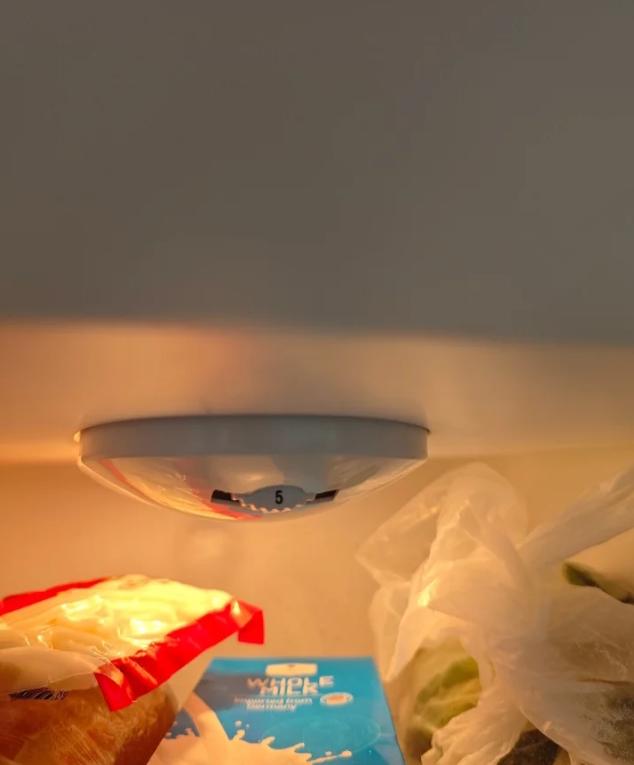 闺蜜半夜打来电话，声音都在抖：“我家冰箱是不是坏了？冬天冻肉全化了，春天菜全冻成