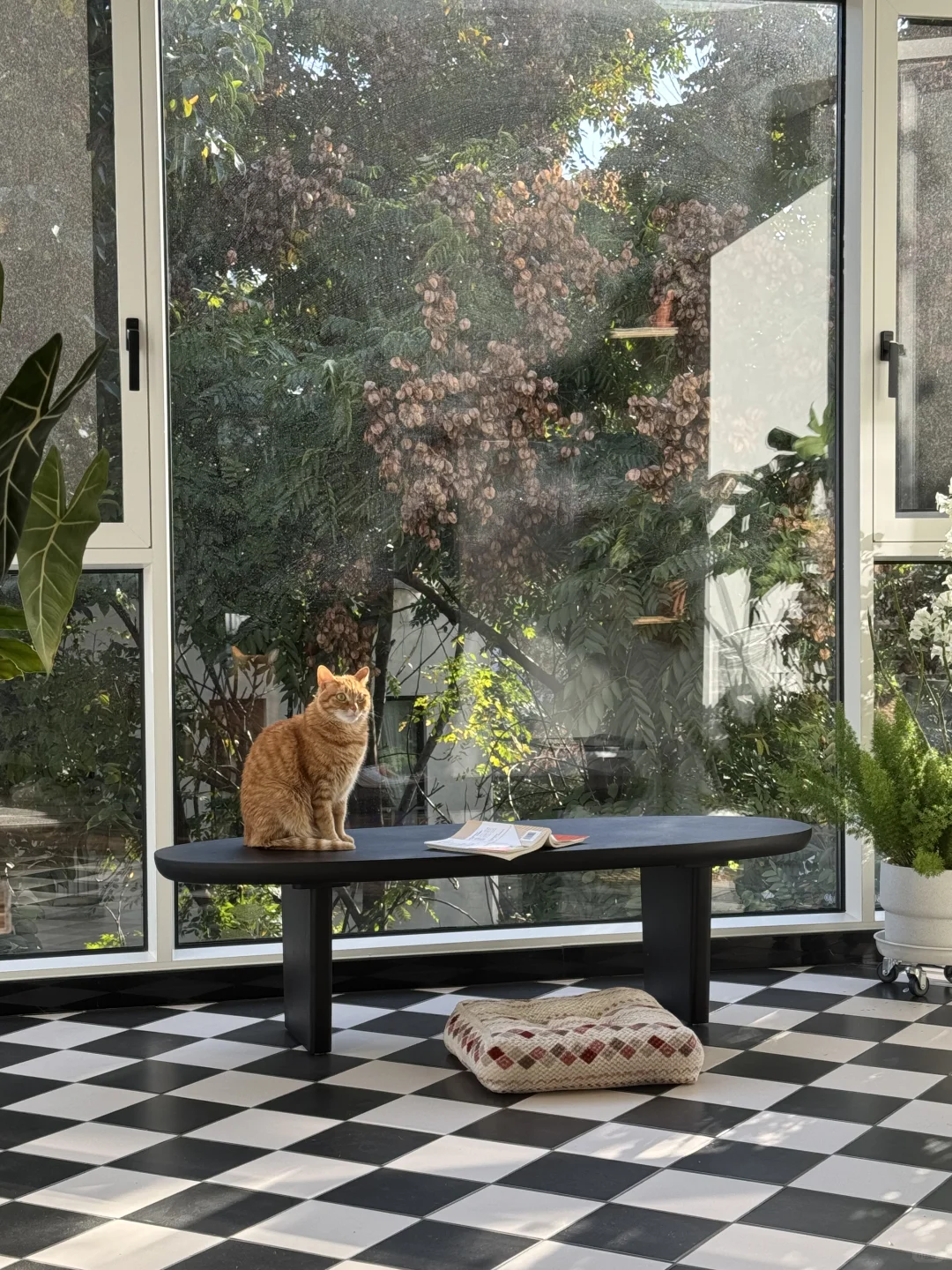 凭一己之力拉高了这个老小区的销量