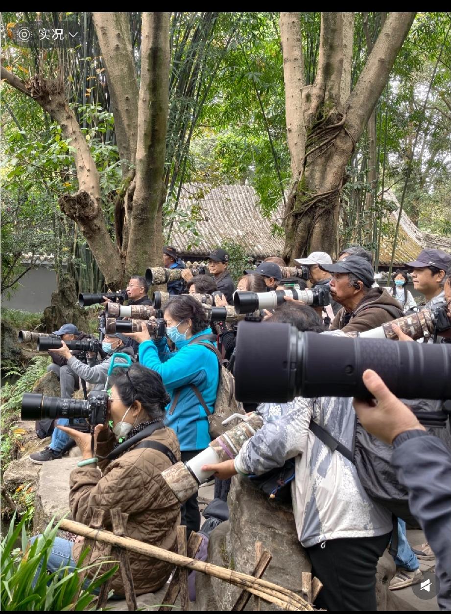 怎么抗大炮的全是这个年纪的，家里都这么有的吗