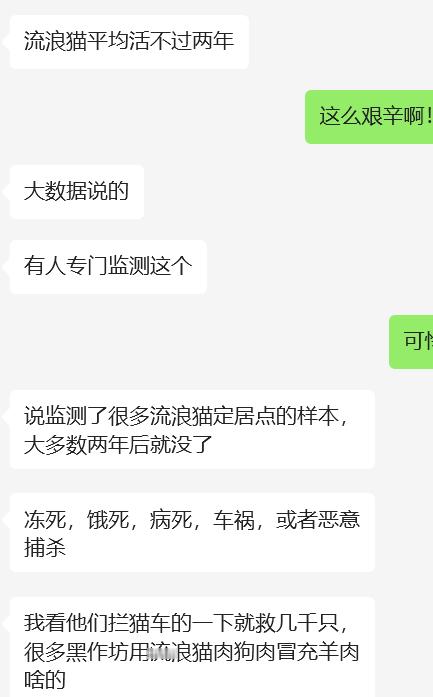 流浪猫这么惨啊……流浪狗估计也…… ​​​