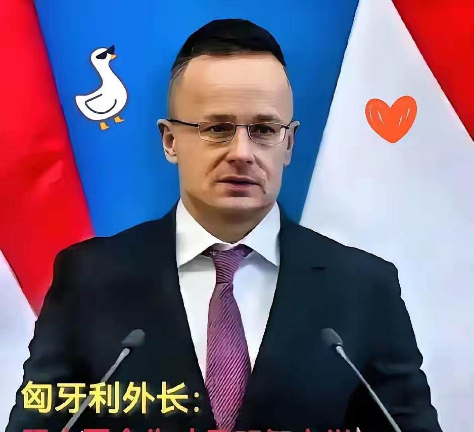 快讯！快讯！

匈牙利外长西雅尔多突然宣布了。
他把话挑明了：和中国的合作不只是