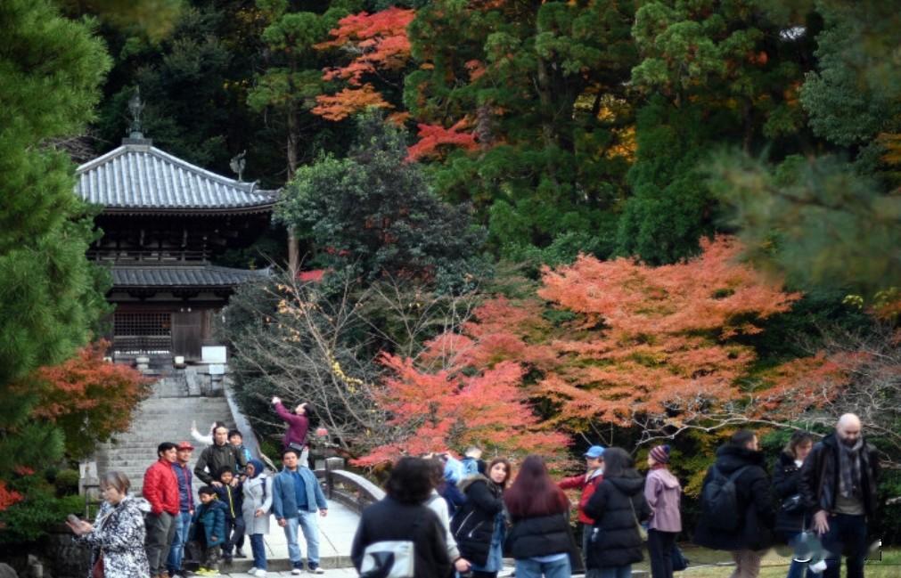 日本那边刚宣布要放宽咱中国人赴日旅游签证发放条件，韩国这边也不甘示弱，立马放风说