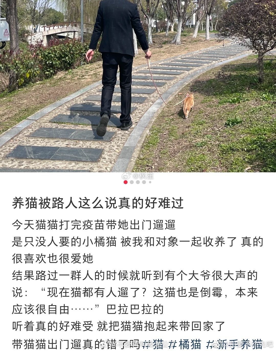 带橘猫出门被路人这么说了 ​​​